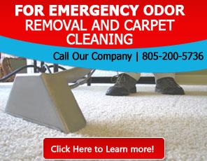 Carpet Cleaning Thousand Oaks, CA | 805-200-5736 | Rug & Upholstery
